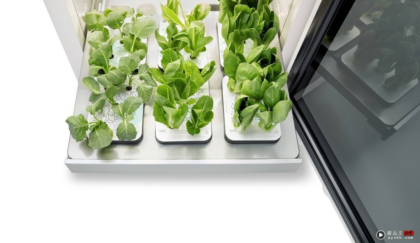 LG 推出智慧蔬菜箱‘ Tiiun ’，在家也能吃到新鲜的有机蔬菜 数码科技 图4张